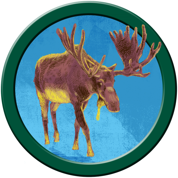 Zach Lehner Moose