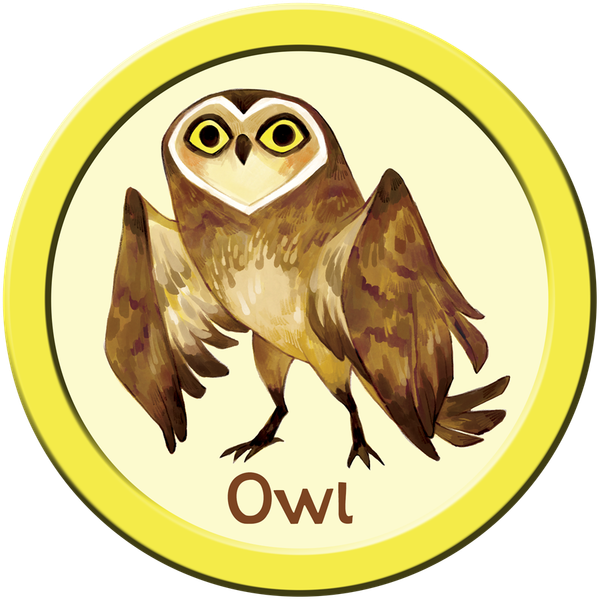 Zoe Persico Owl