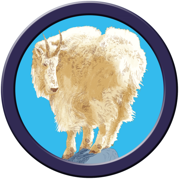 Zach Lehner Mountain Goat