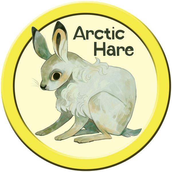 Zoe Persico Arctic Hare