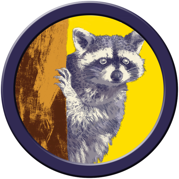 Zach Lehner Raccoon
