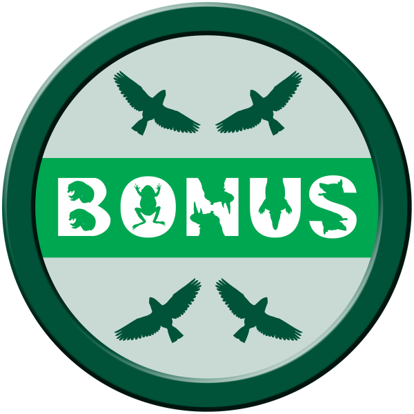 Zach Lehner Bonus 2
