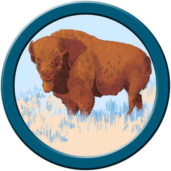 Zach Lehner Buffalo