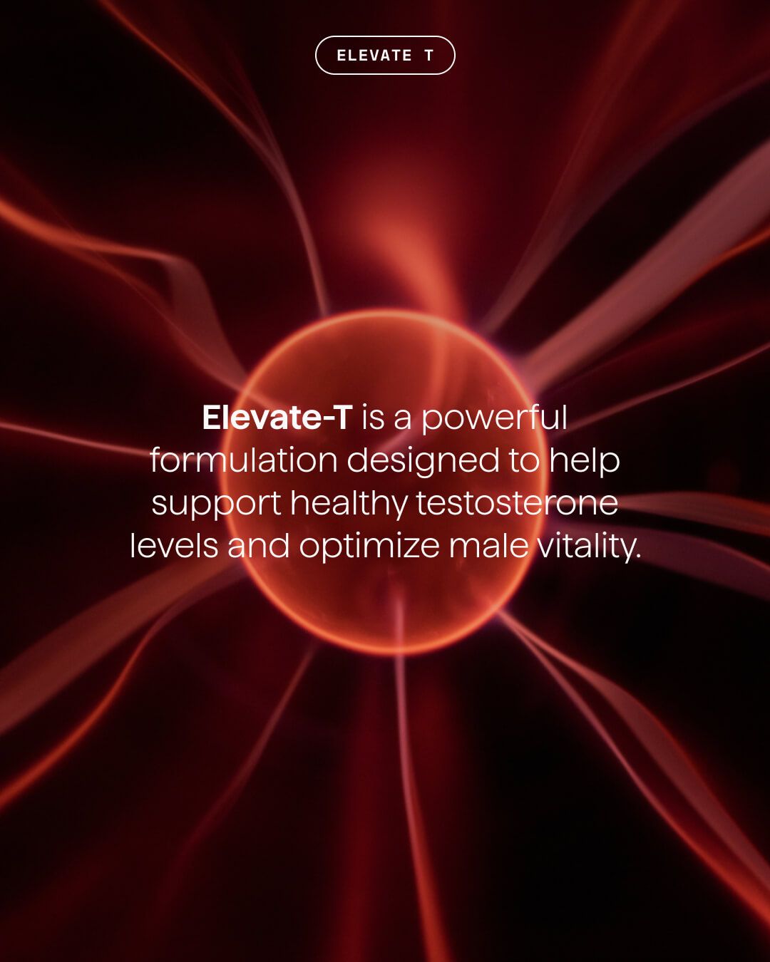 Elevate-T — photo 3