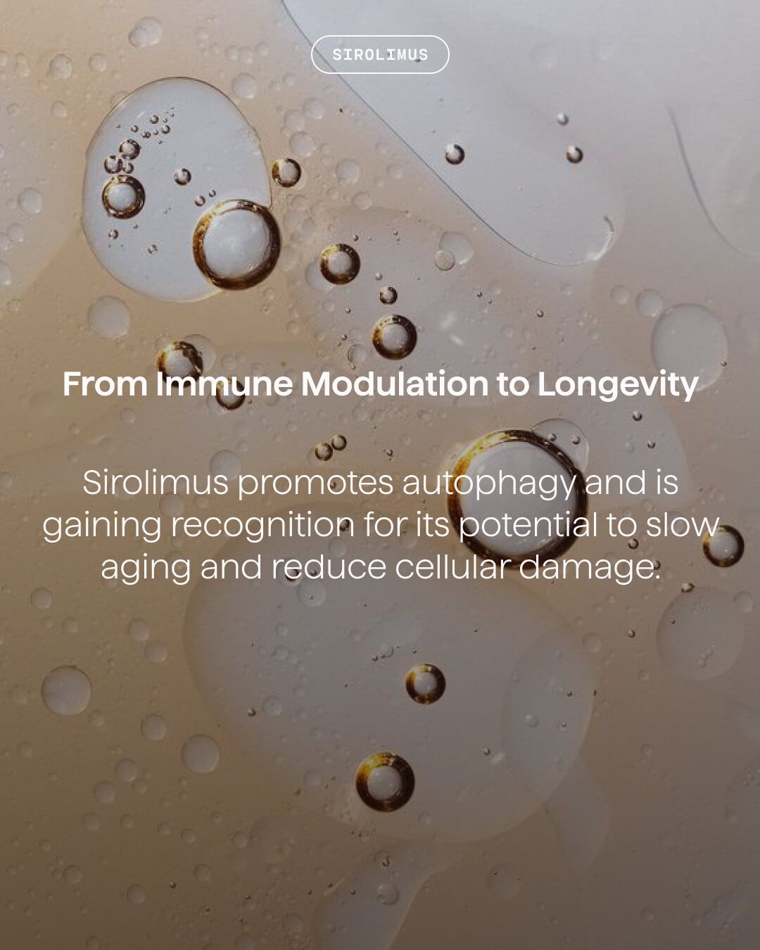 Sirolimus — photo 3