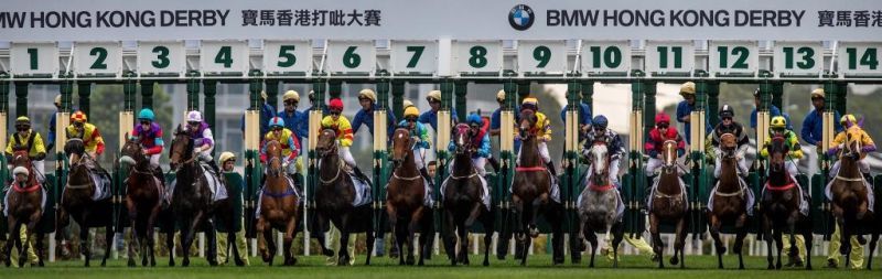 Electric gates used in horse racing.