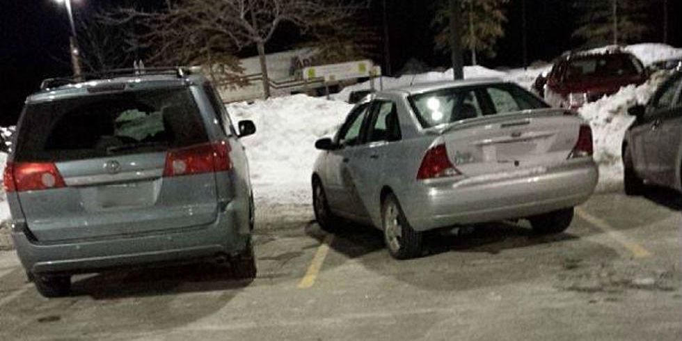 Cover Image for What Type of Parker Are You?