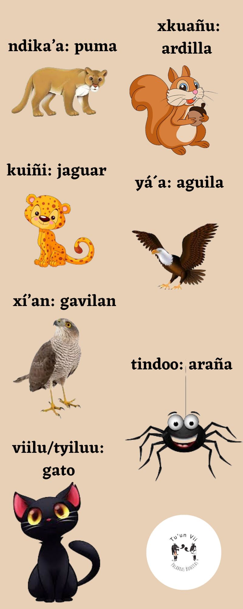 Cartoon animals, labeled in Mixtec and Spanish

Nombre de los animales en mixteco, elaborado por Izaira López Sánchez