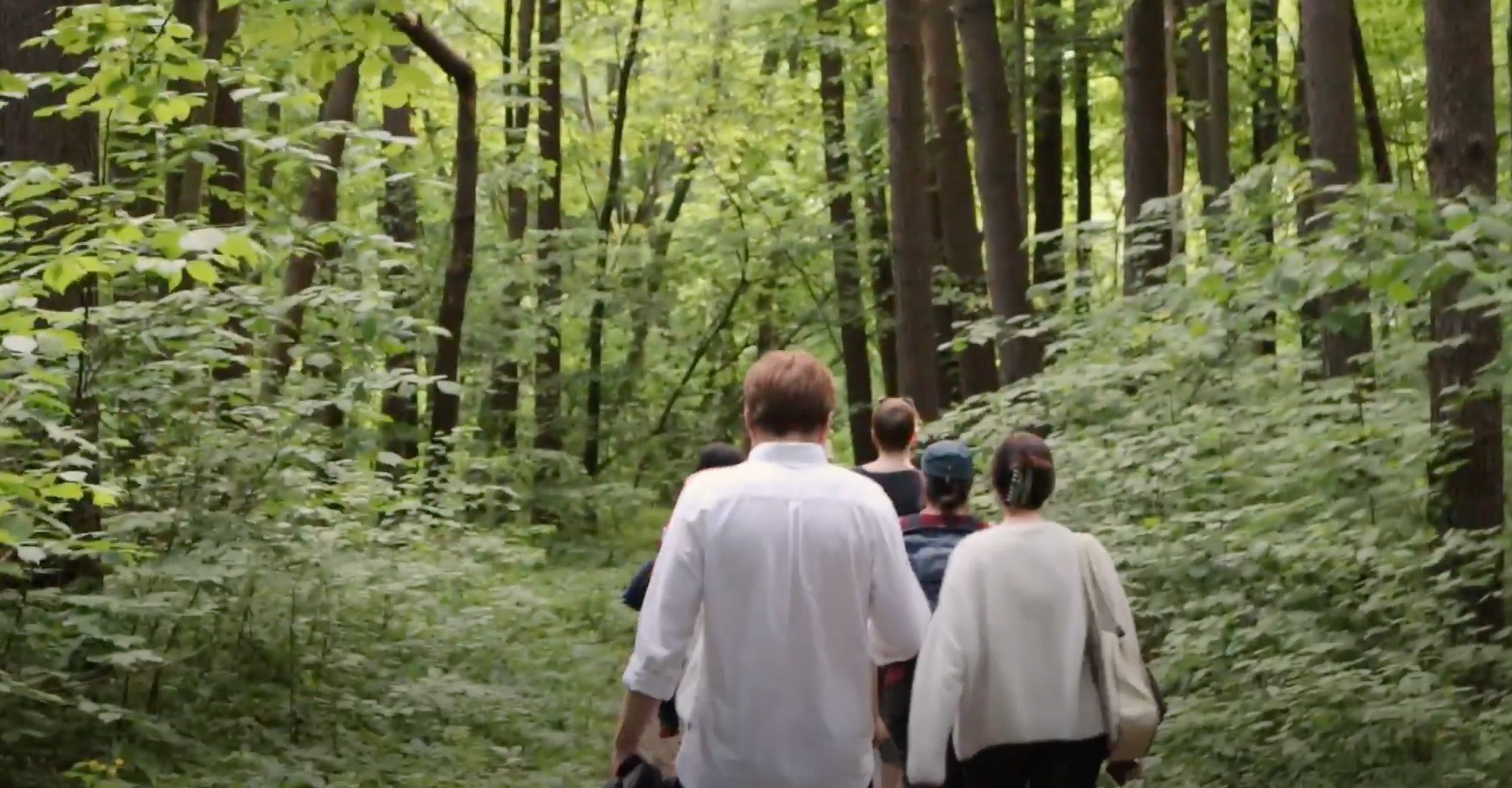 students and faculty walk through a lush forrest