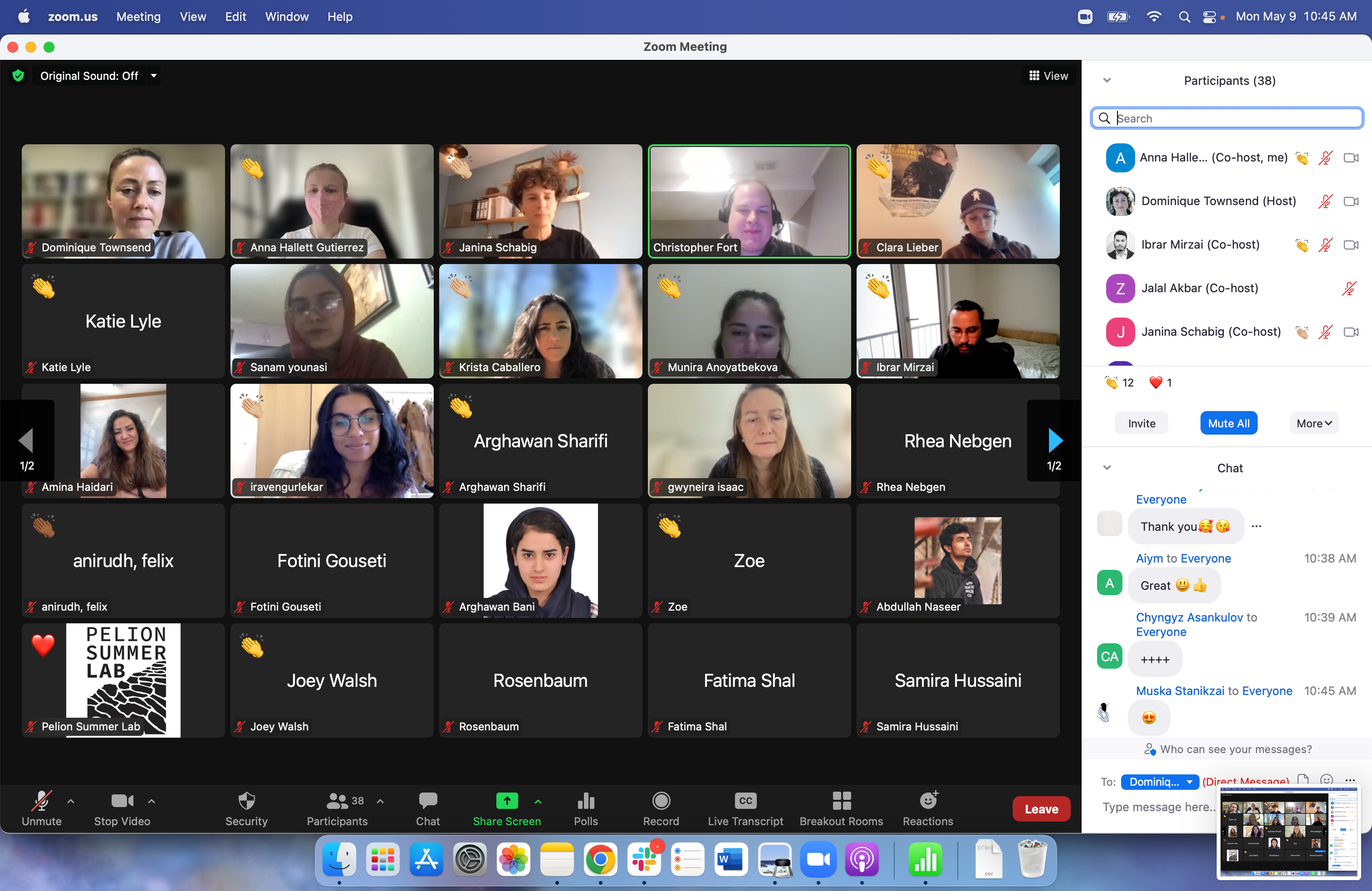 Screenshot from a Zoom meeting with applause reactions from the attendees.