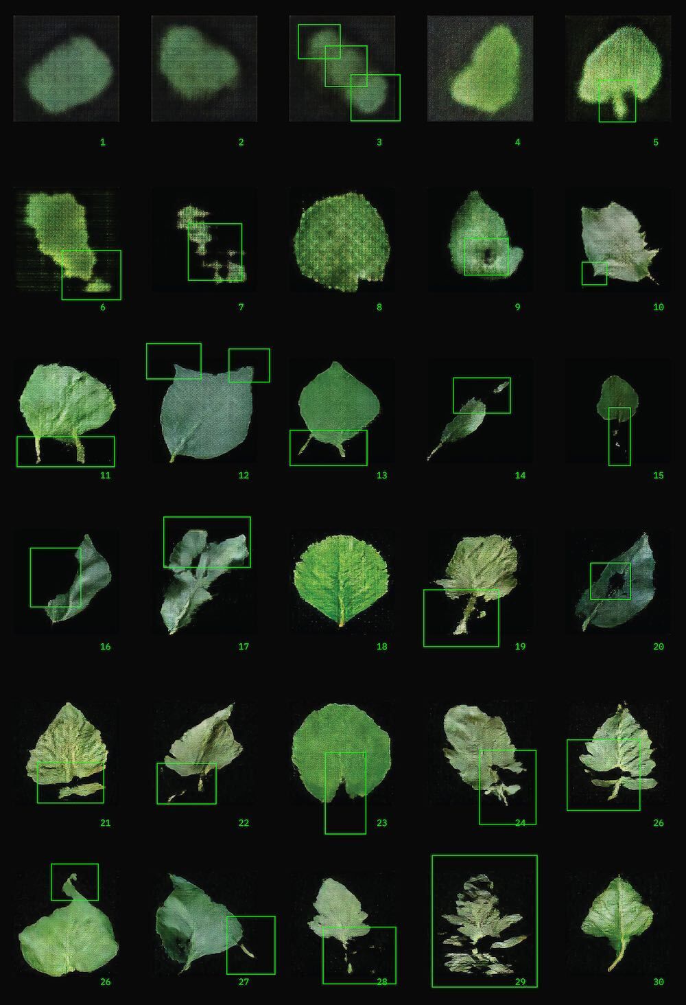 A grid of ML-generated leaves against a black background. Bright neon green squares highlight 'mistakes' in the leaves like holes or double stems.