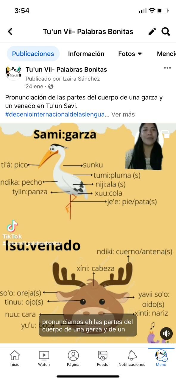 Screenshot from TikTok: parts of the bodies of animals

TikTok de las partes del cuerpo de un animal en mixteco, elaborado por Izaira López Sánchez