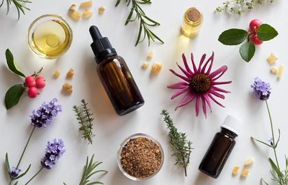 Essential Oils: Why Have They Become So Popular?