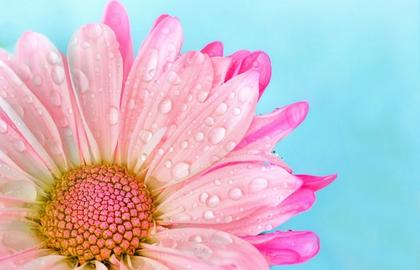 6 Things You Can Do to Feel Fresh as a Daisy All Day Long