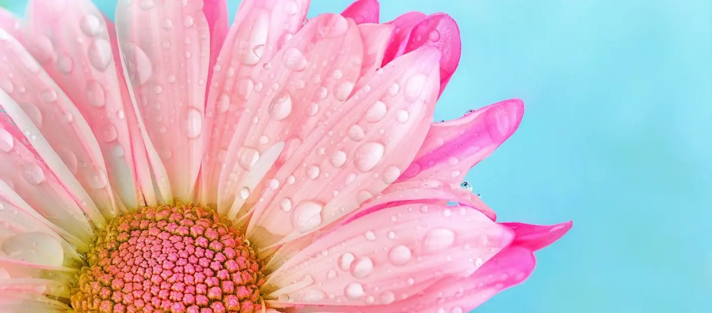 6 Things You Can Do to Feel Fresh as a Daisy All Day Long