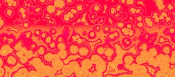 Bacteria On Our Skin: Friend Or Foe?