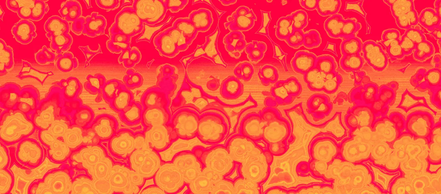 Bacteria On Our Skin: Friend Or Foe?