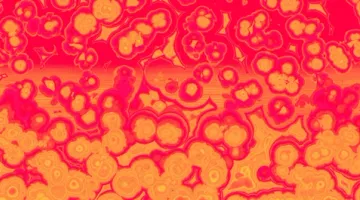 Bacteria On Our Skin: Friend Or Foe?