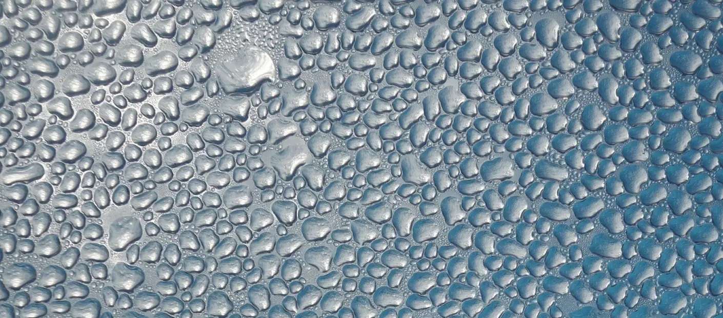 Is Sweating Good for You?