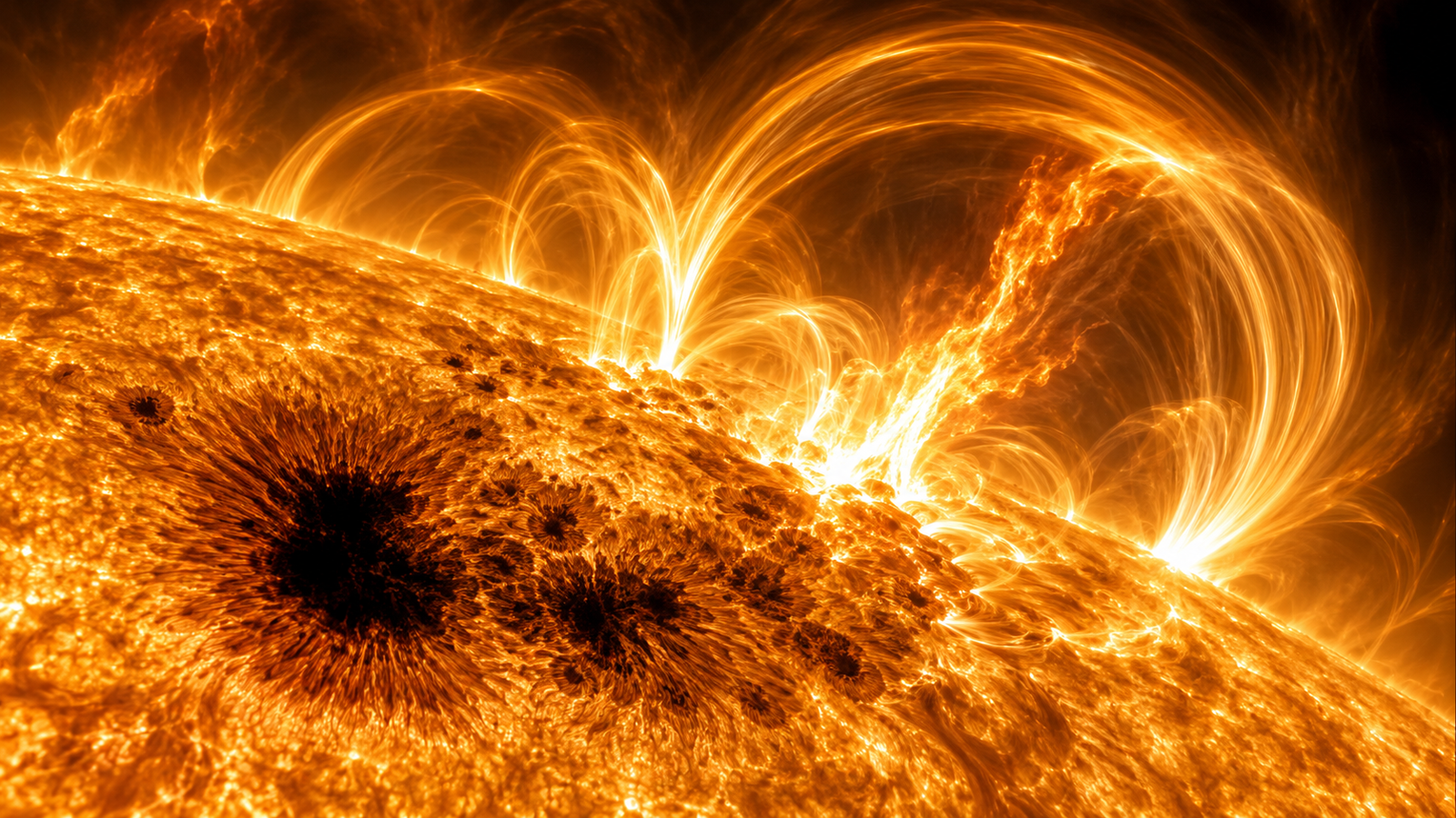 Solar Magnetic Activity: Sunspots and Coronal Loops