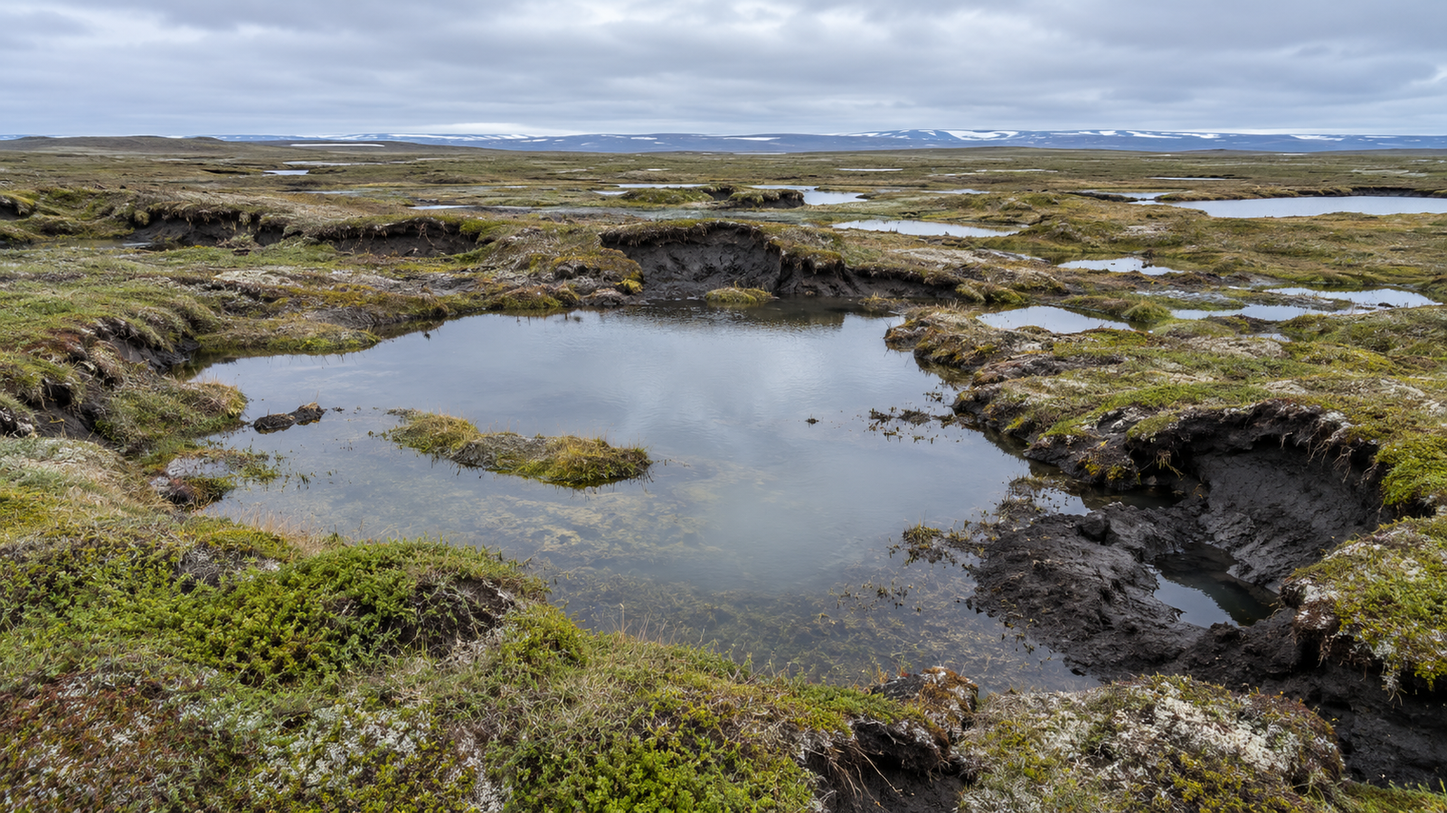 Thermokarst Landscape