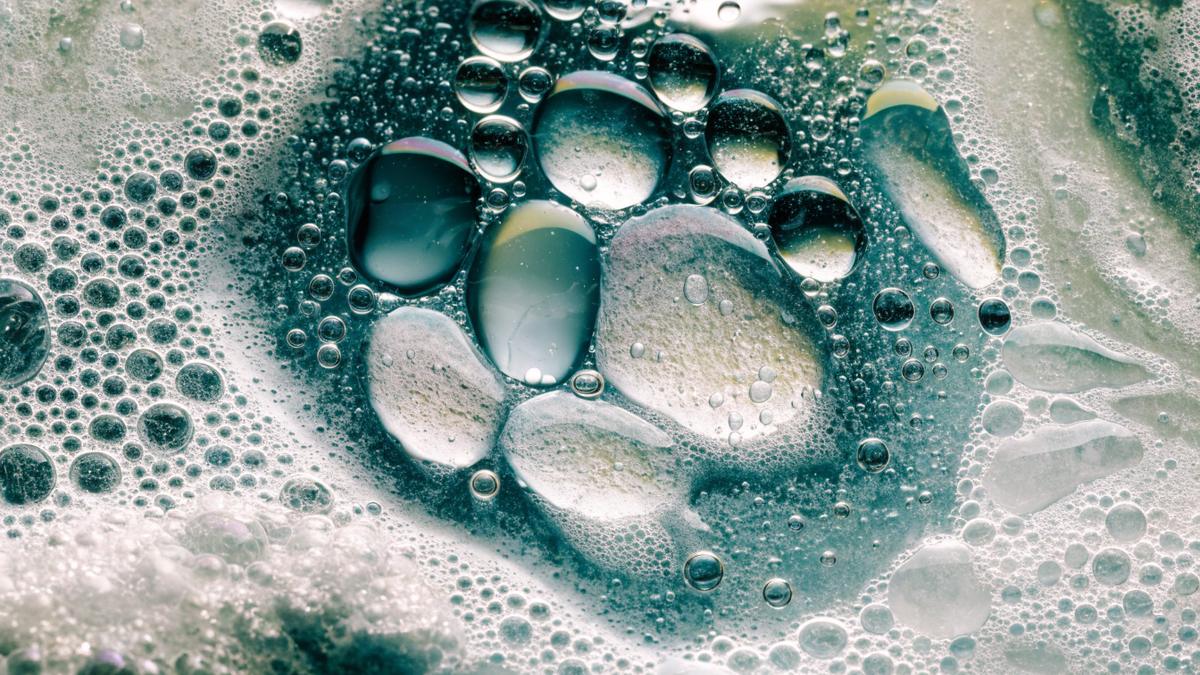 Extreme macro of cleaning foam and bubbles breaking down grime on a surface, teal and green tones.