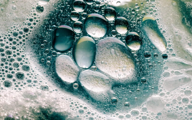 Extreme macro of cleaning foam and bubbles breaking down grime on a surface, teal and green tones.