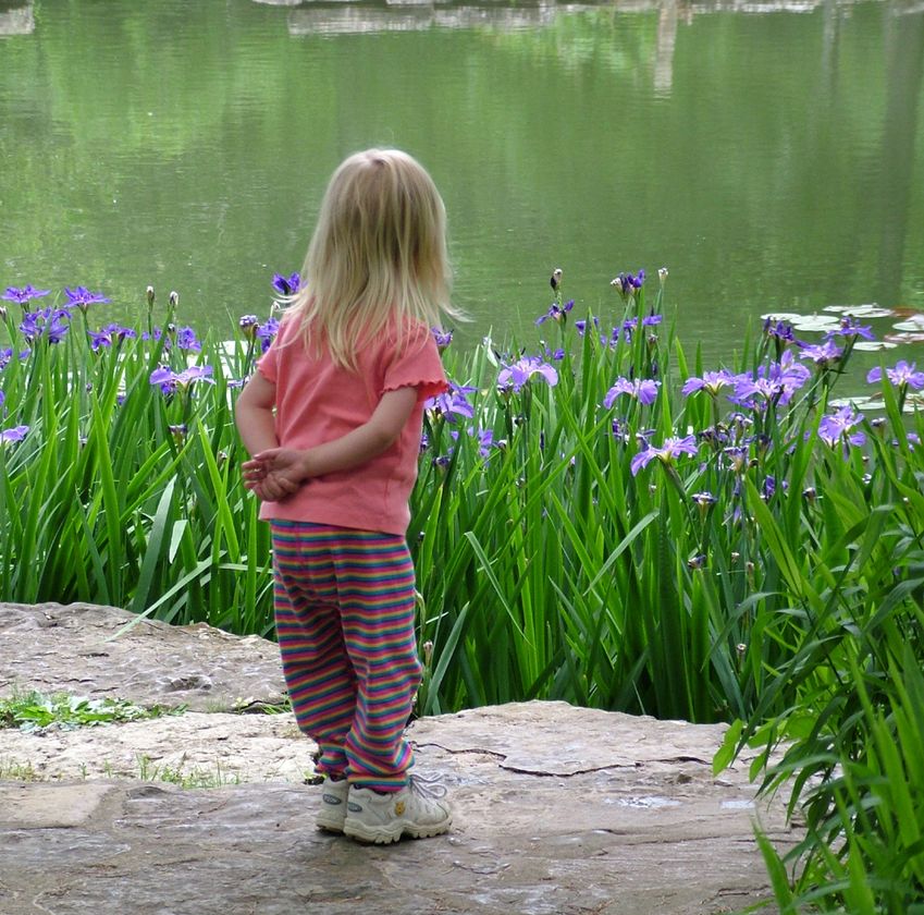 A young child standing at the edge of a clean, clear pond surrounded by wild irises