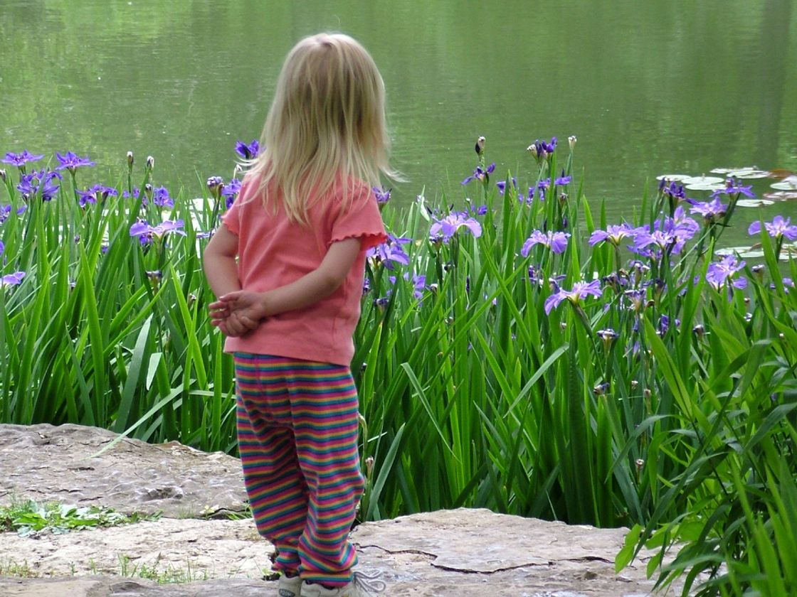 A young child standing at the edge of a clean, clear pond surrounded by wild irises