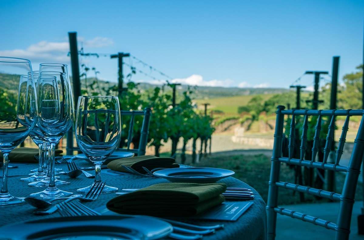 a vineyard in Napa Valley, home to prestigious wines