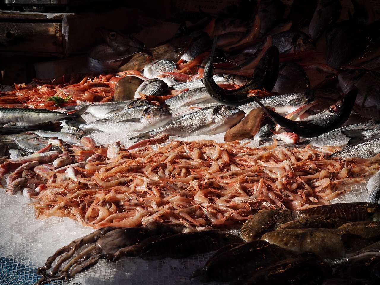 pesce fresco per una cena di lusso a catania