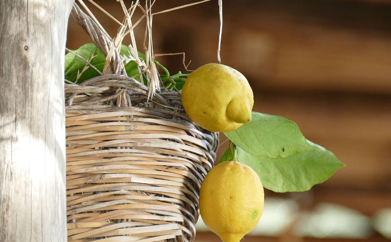 lemons from Sorrento