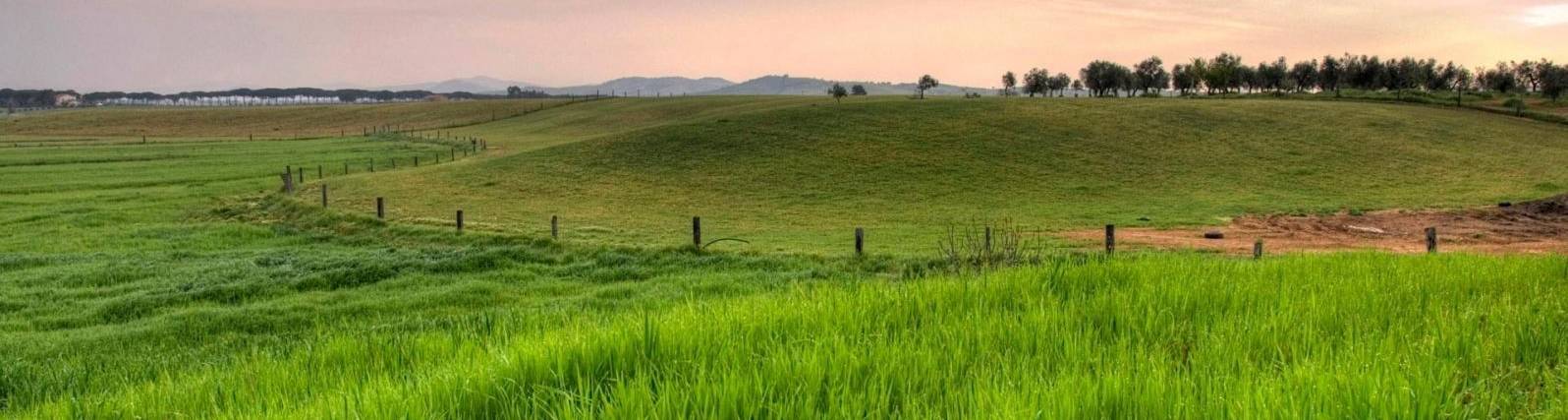 Tuscany countryside