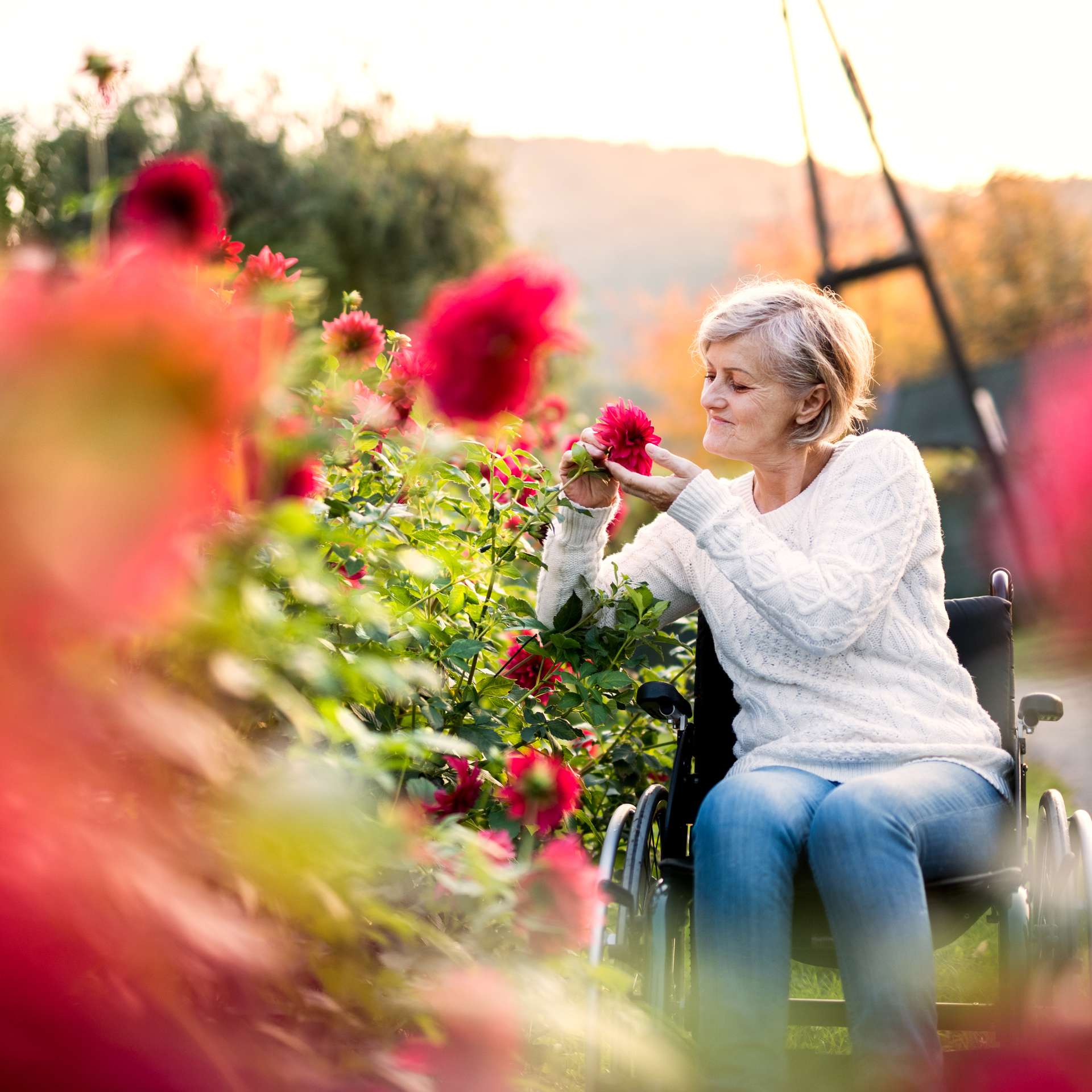 woman in a wheel chair
