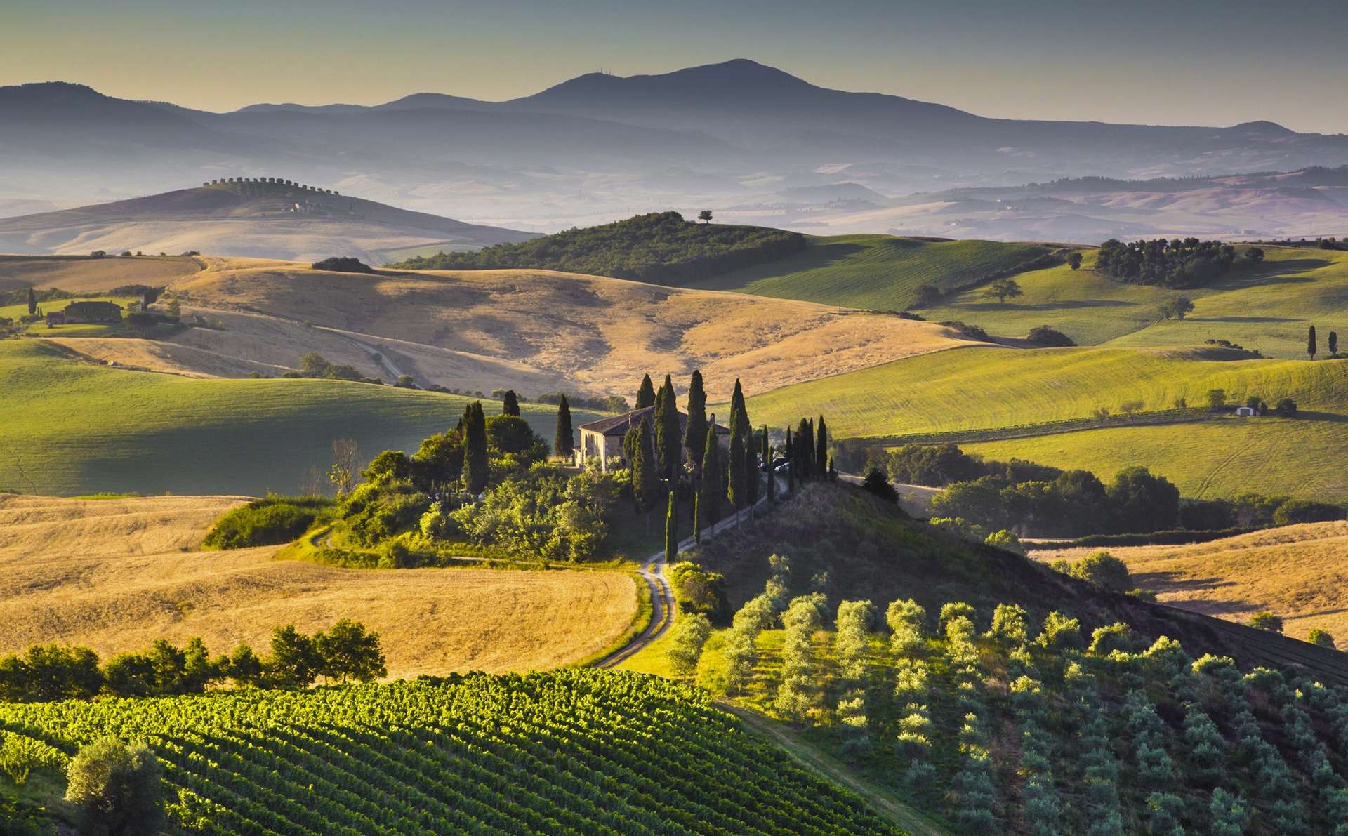 Vista delle colline toscane
