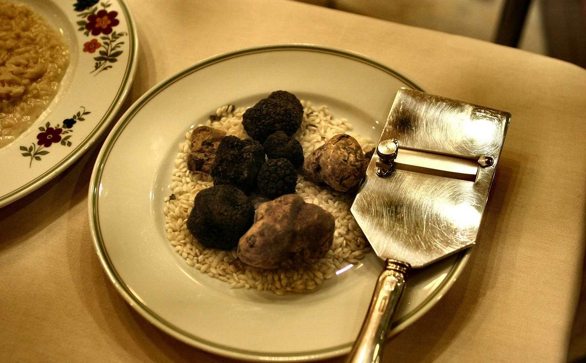 A truffle, ready to be grated over risotto at one of the finest restaurants for a luxury dinner in Como