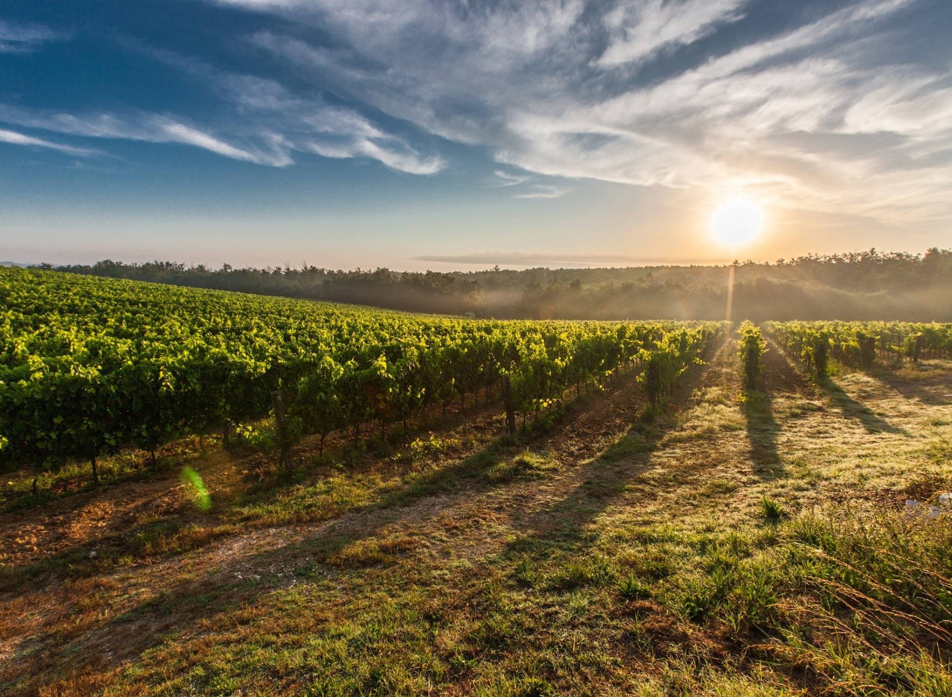 Toscana, bellezza di arte e paesaggio: perché visitarla