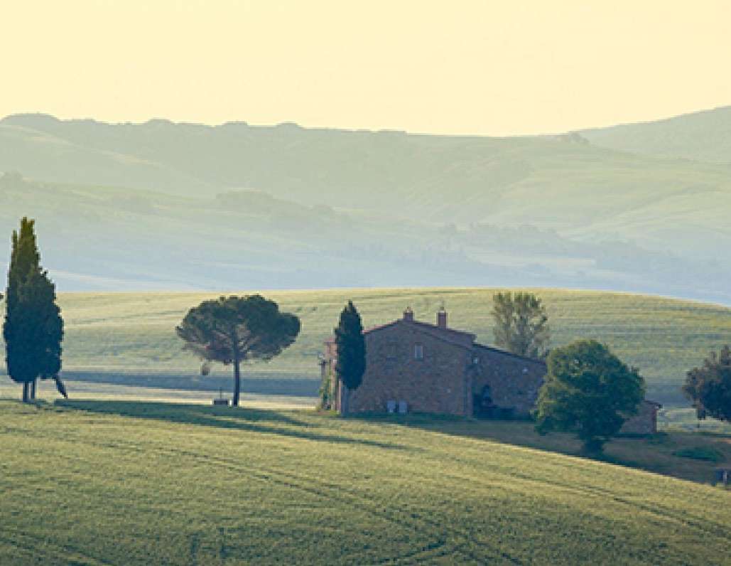 Val D'Orcia view