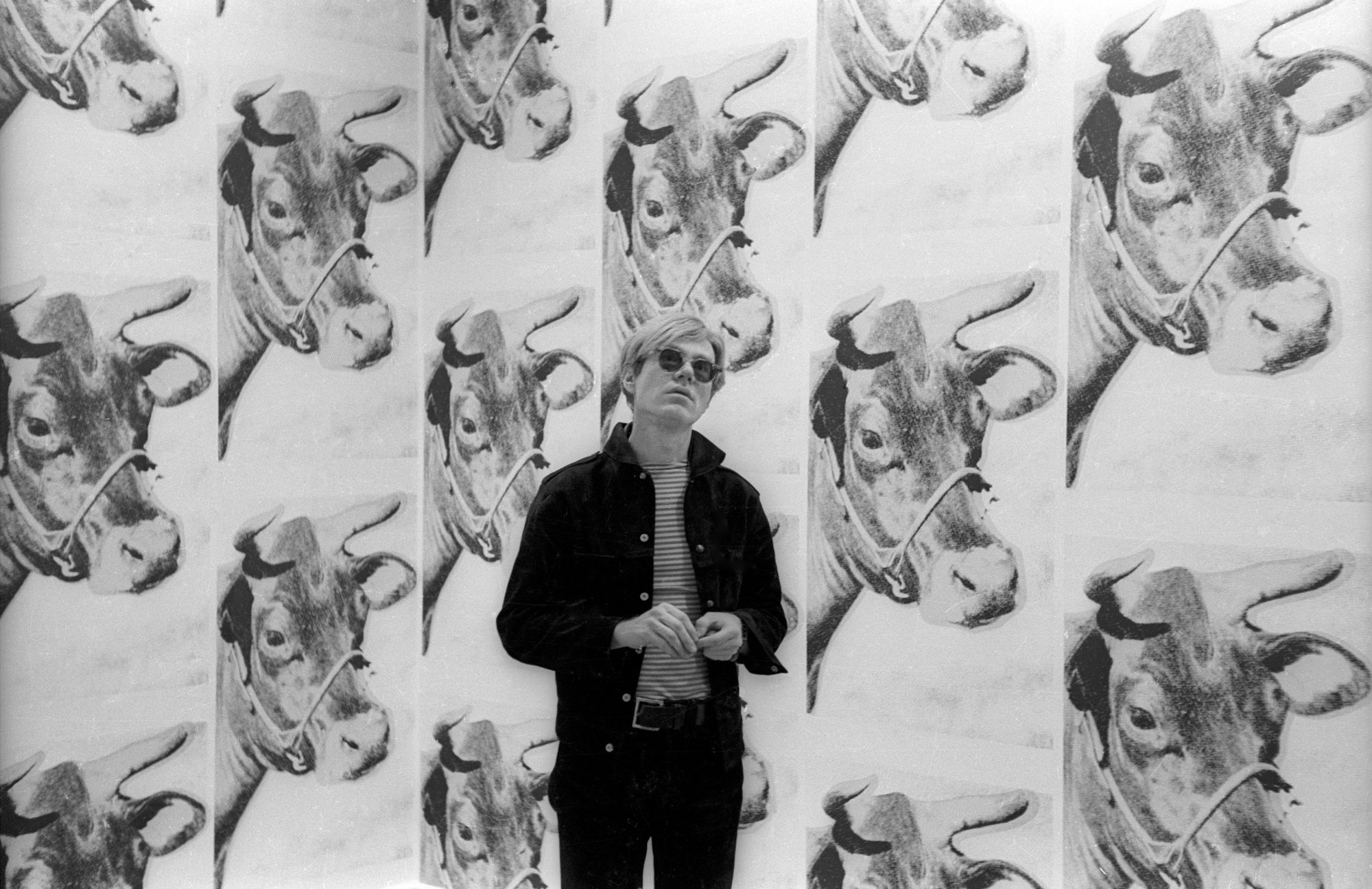 Why Did Andy Warhol Make Cow Wallpaper? | Magazine | MoMA