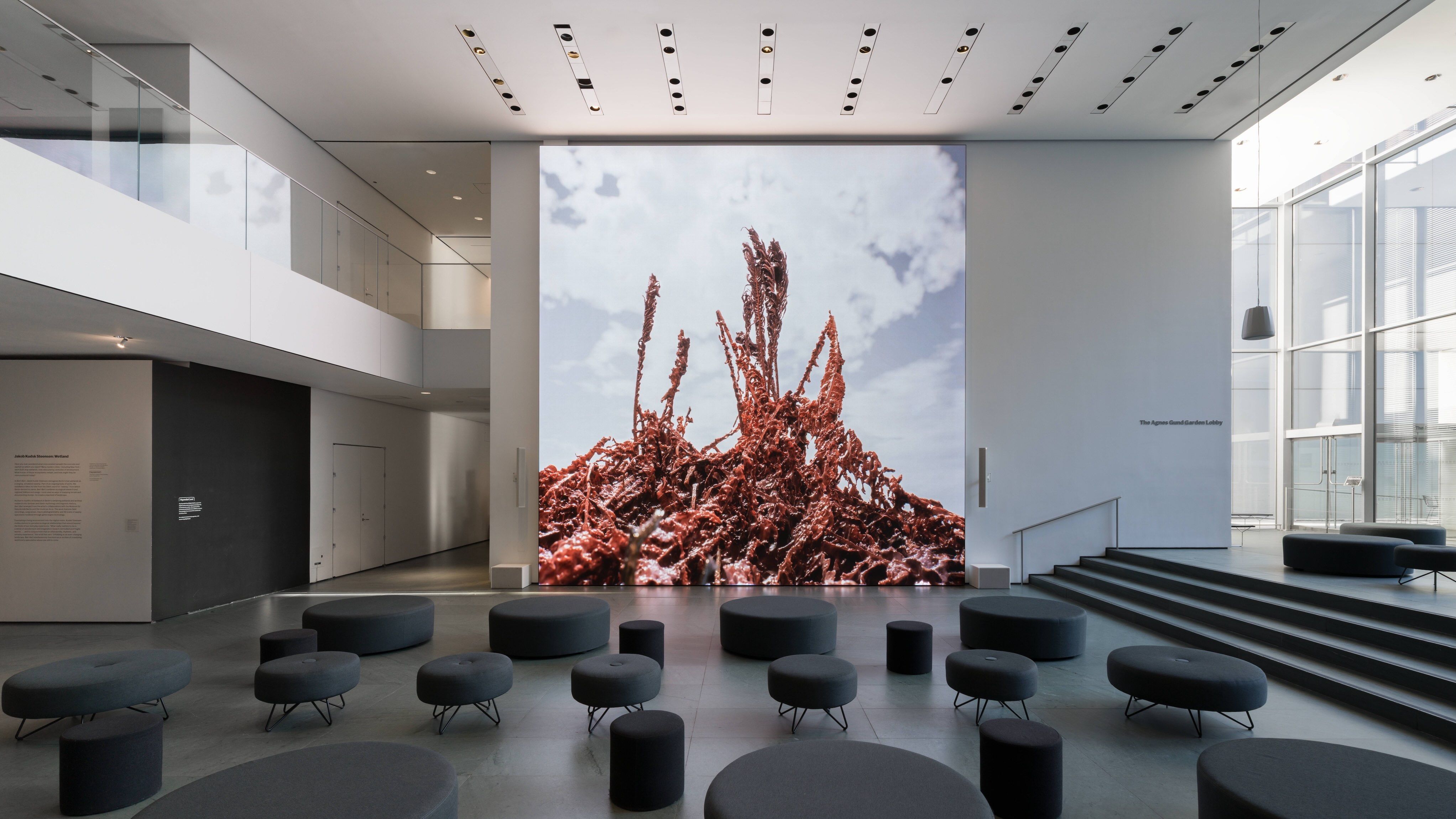 A large digital screen displays a close-up of reddish-brown organic matter against a sky. Gray seating is arranged in the lobby of a modern building.