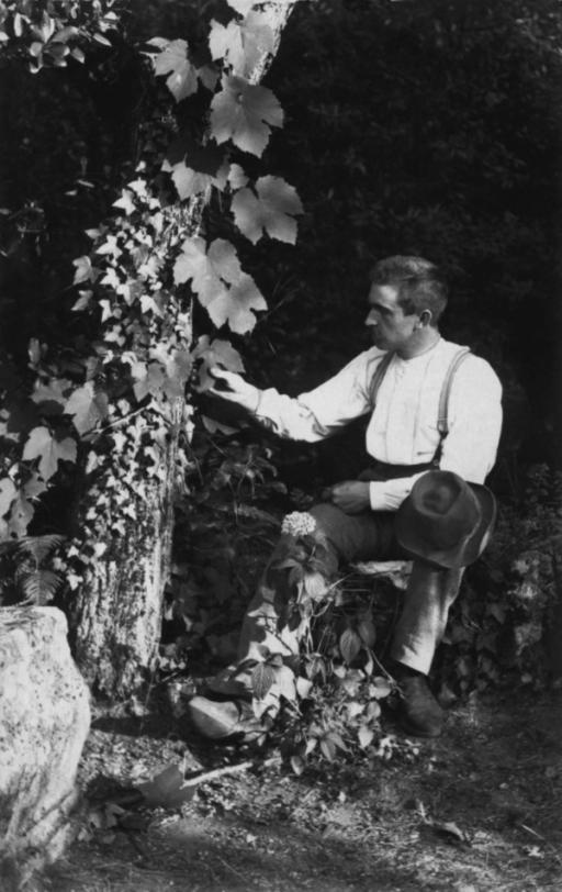 Karl Blossfeldt