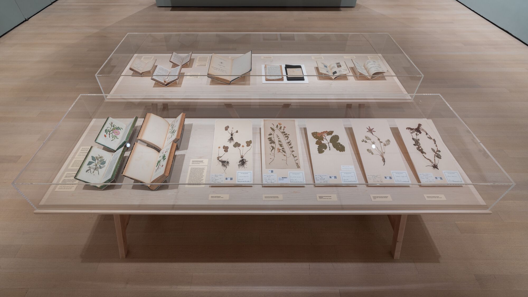 Olivia Laing on Hilma af Klint and the Language of Gardens