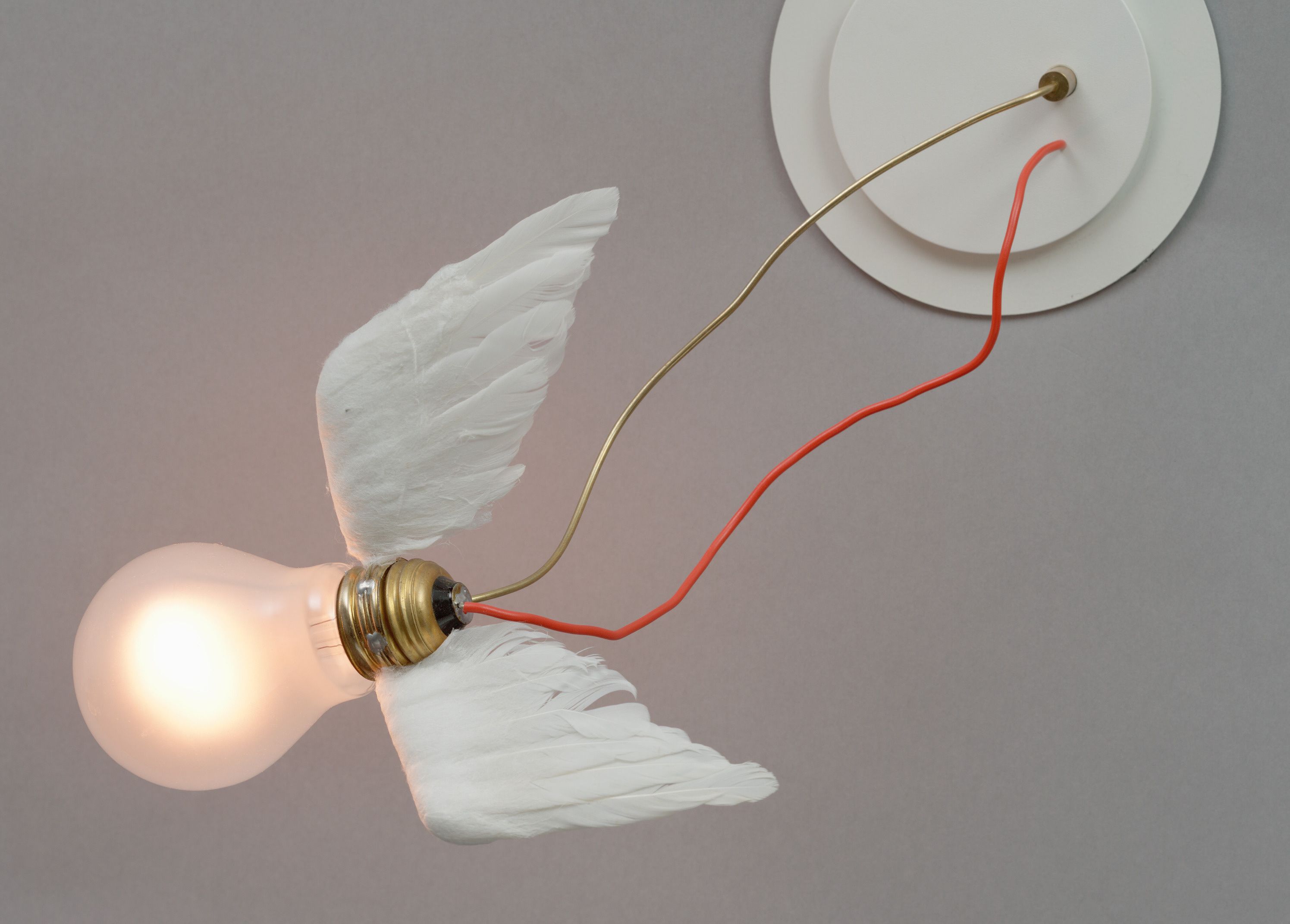 2f43c044534a0d31f01f49dc0da9be