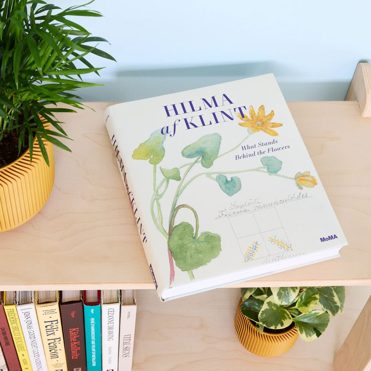 Celebrating women artists and designers