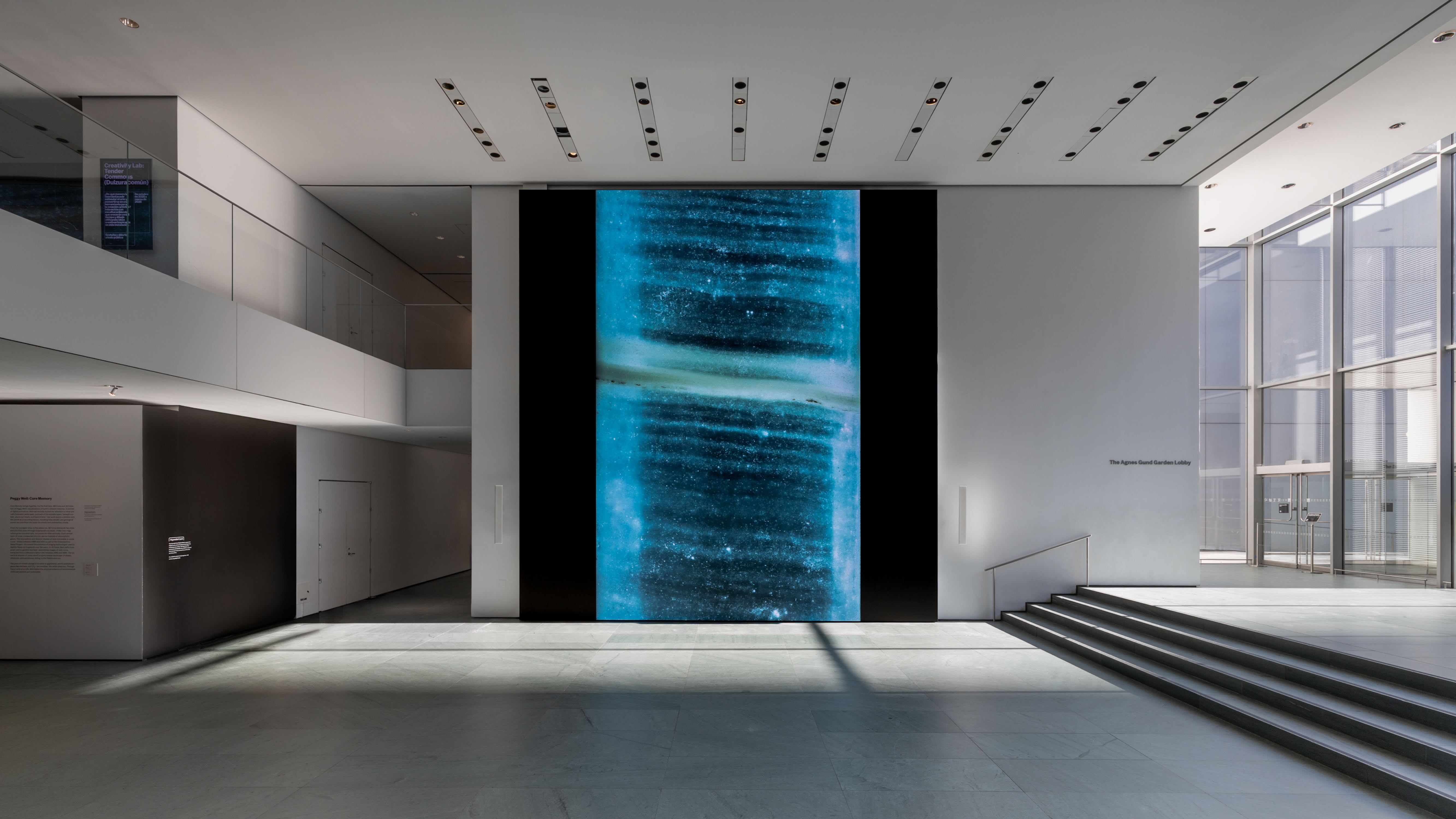 Taking the Elevator Down into Time with Peggy Weil | Magazine | MoMA