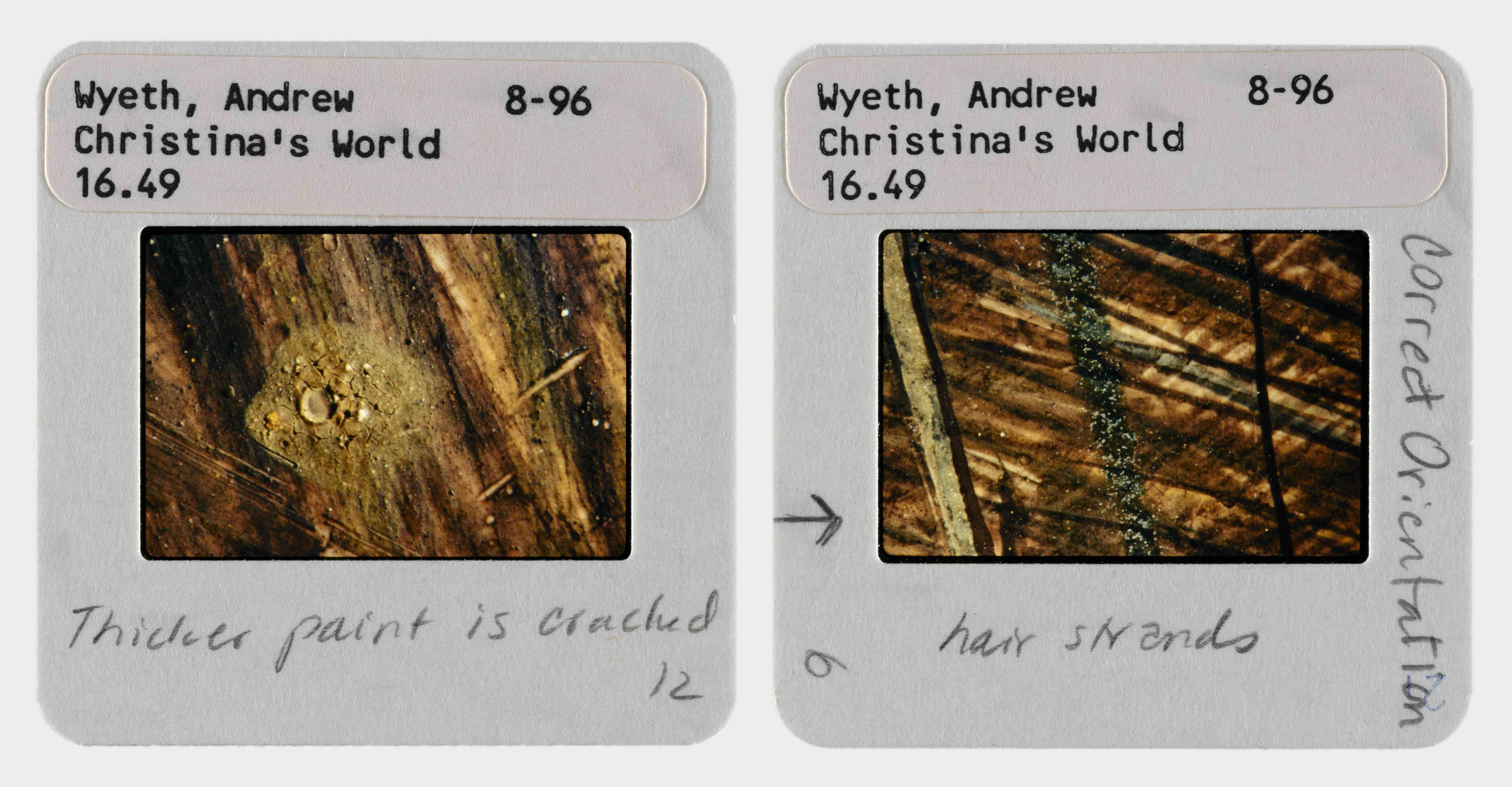 A (Much) Closer Look at Christina's World | Magazine | MoMA