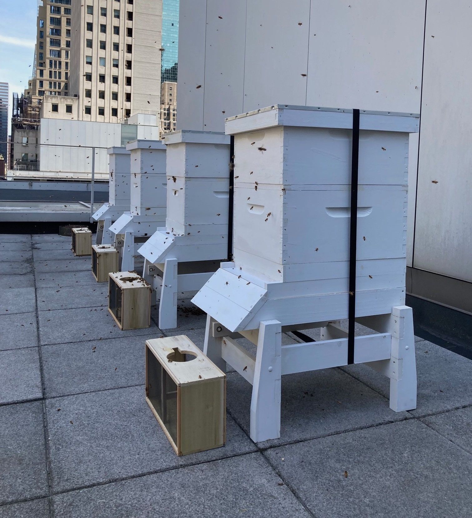 Bee hives on MoMA’s roof, 2023. Photo: Eliana Glicklich-Cohn