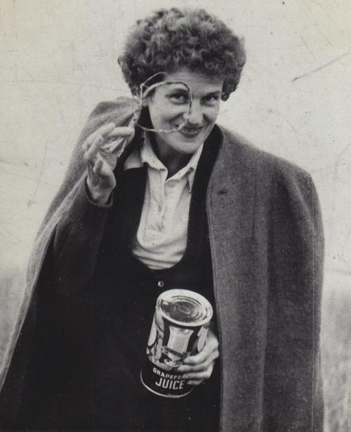 Sari Dienes