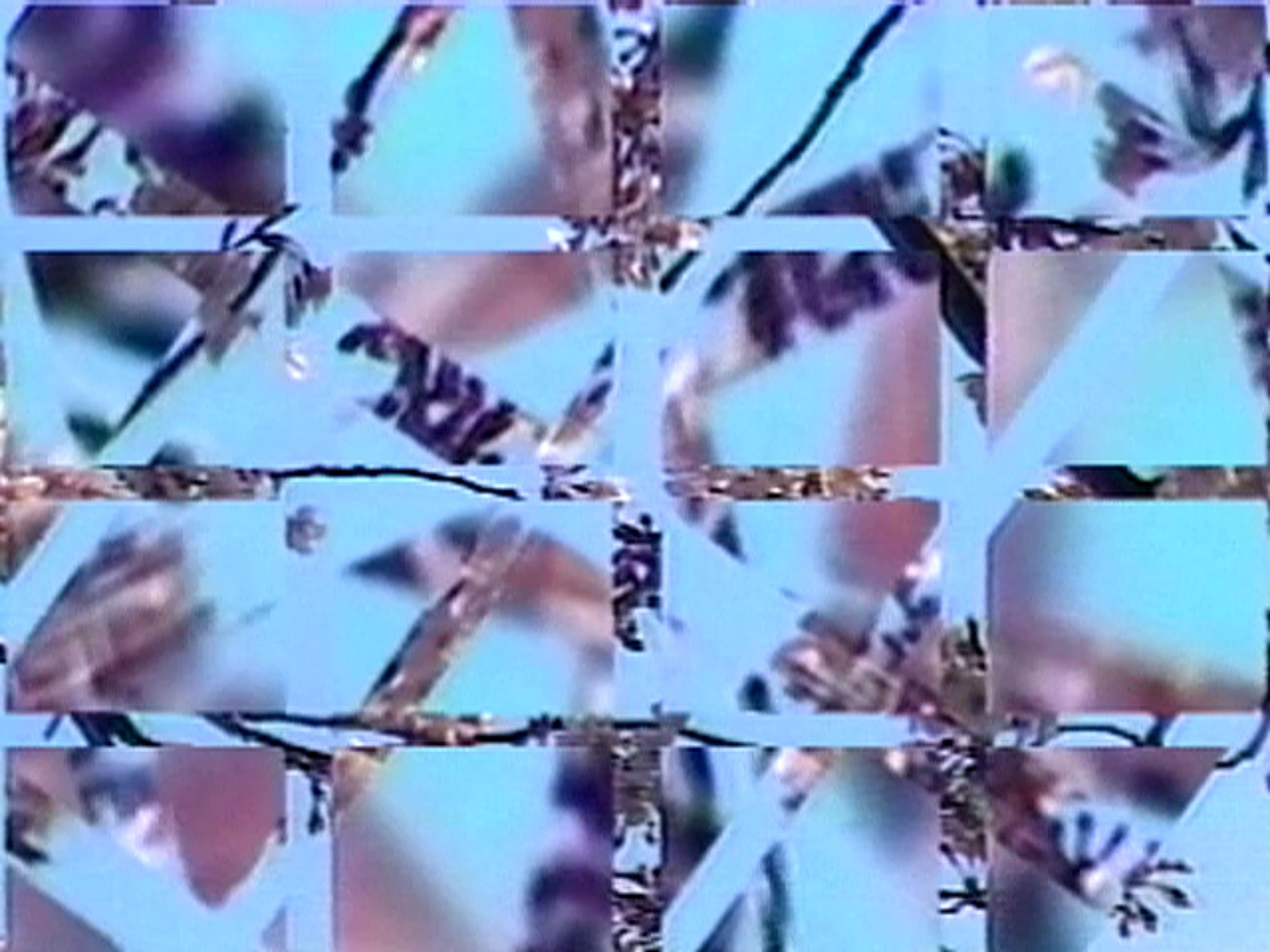A Matter of Memory: Shigeko Kubota's Video Sculptures