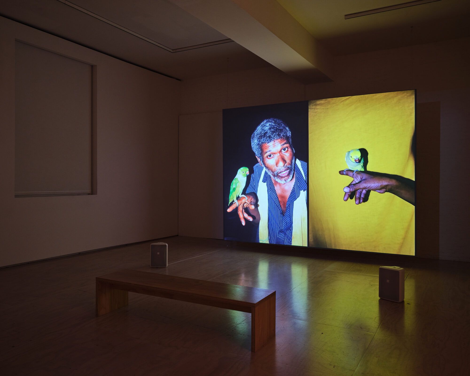An Excuse to Touch the World: Sohrab Hura on His Multimedia